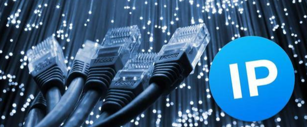 国内动态IP代理怎么选？2025年国内IP代理防坑指南