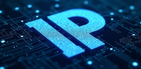 国内动态IP代理服务