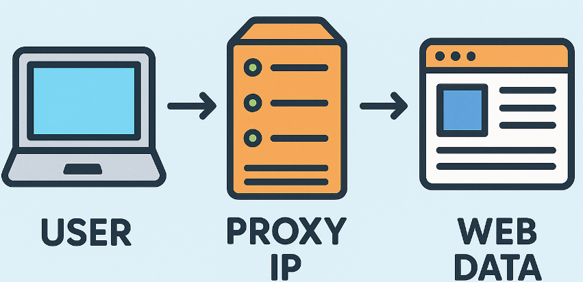 2025年IP代理软件终极选购指南：安全、速度与性价比的全面考量